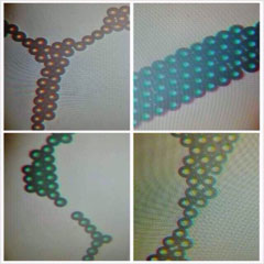 Immunomagnetic beads