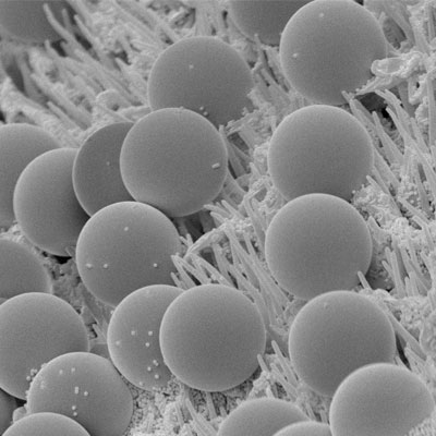 Magnetic Microspheres for Nucleic Acid Extraction
