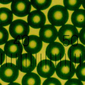 Lateral Flow Chromatography Fluorescence Microsphere Application