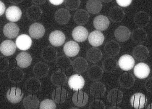 Flow counting microspheres