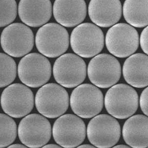 Lateral Flow Chromatography – Application of Colored Microspheres