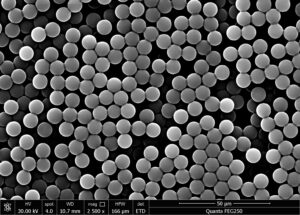  NHS magnetic beads
