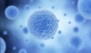 microsphere preparation